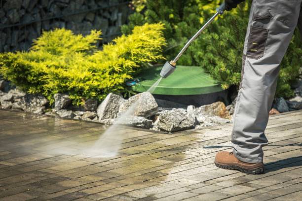 Vinyl Siding Pressure Washing